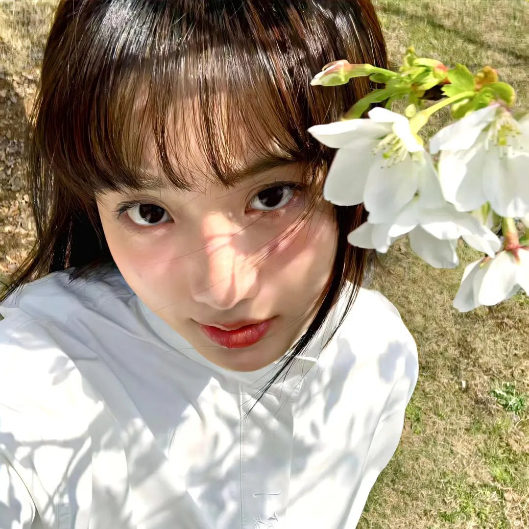 长毛狗